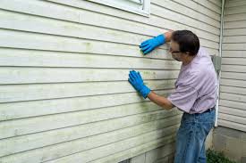 Best Vinyl Siding Installation  in Honsville, GA